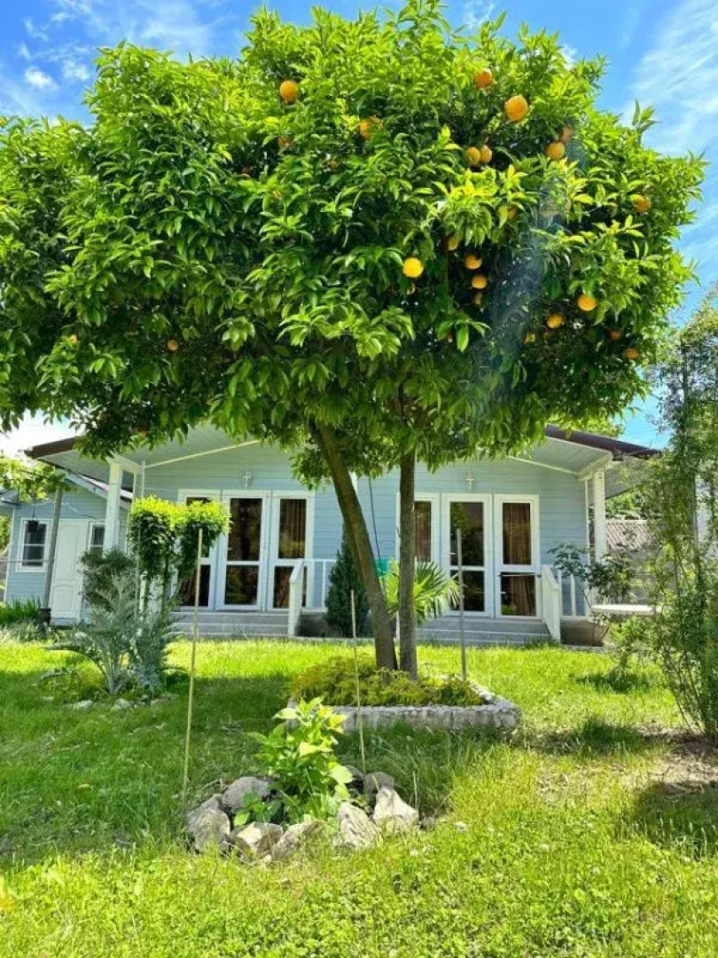 Гостевой дом Соломон
