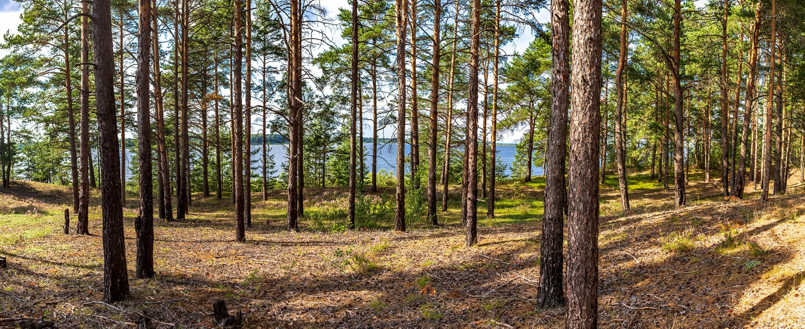 База Отдыха Афанасий