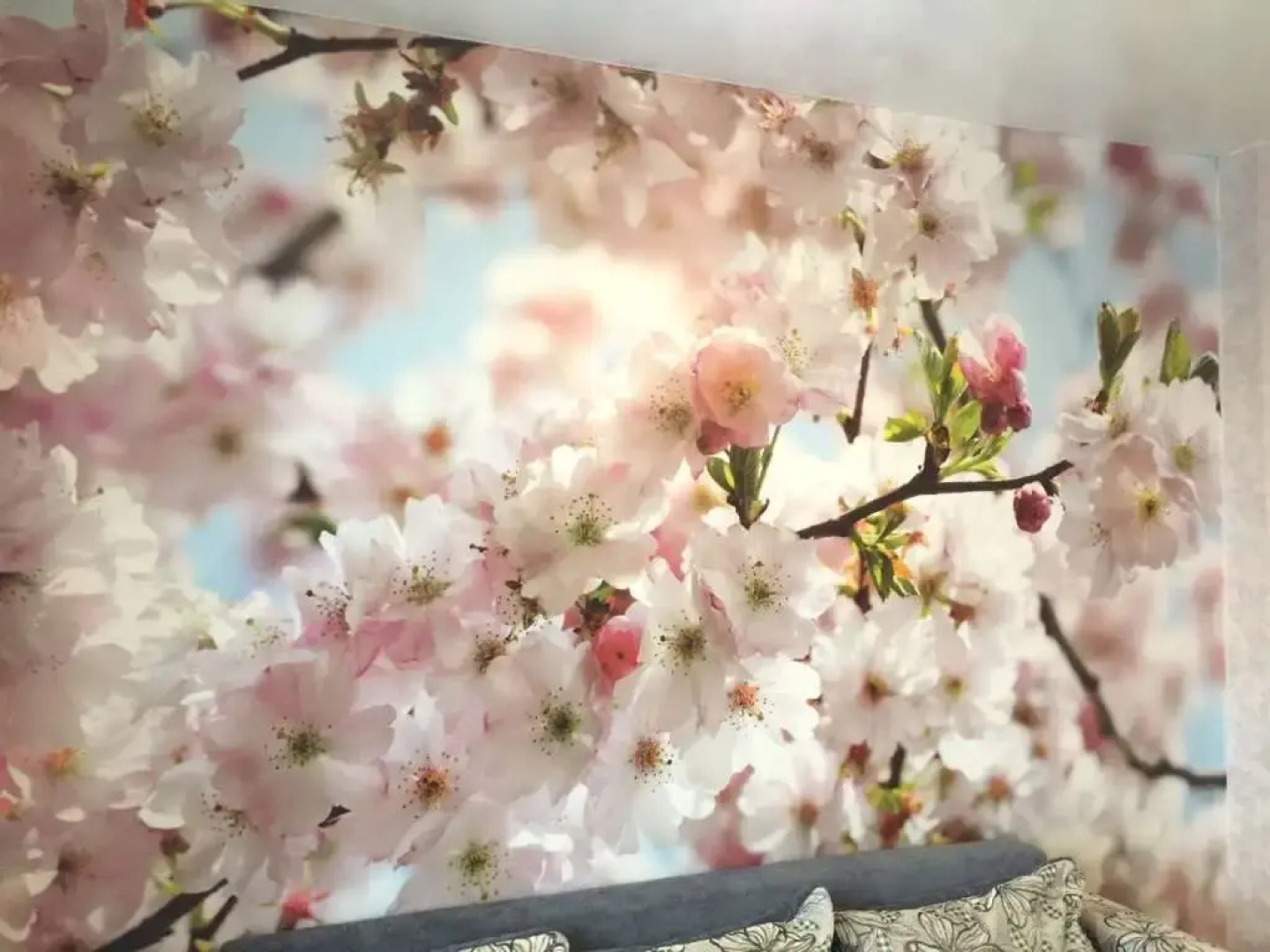 Апартаменты Преображенская 82к1 2