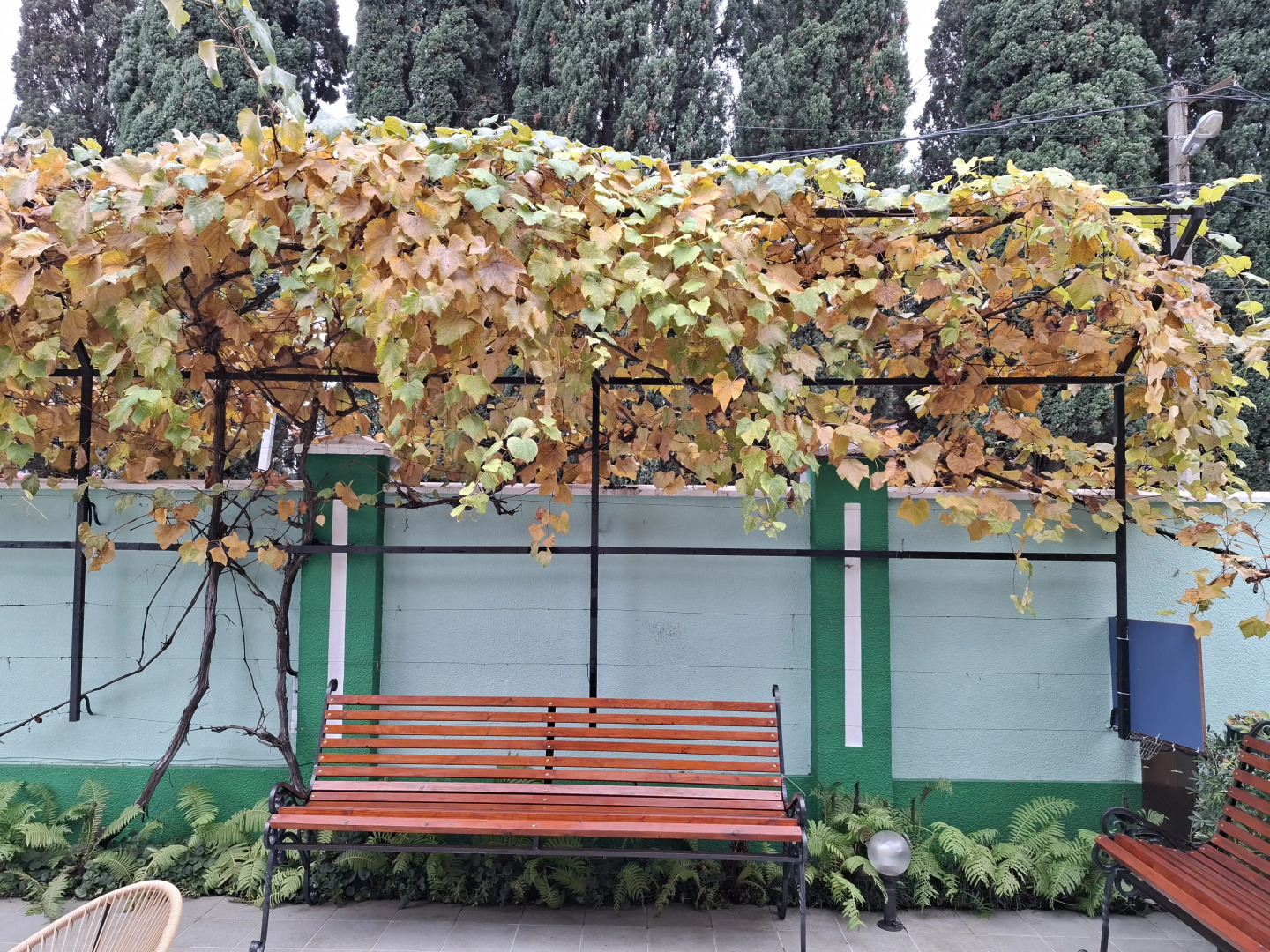 Гостевой дом Вероника