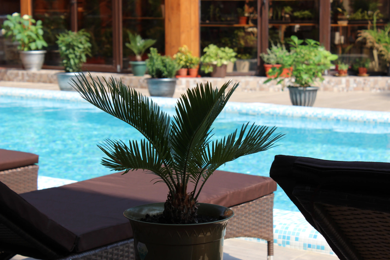 Гостевой дом Старая Мацеста