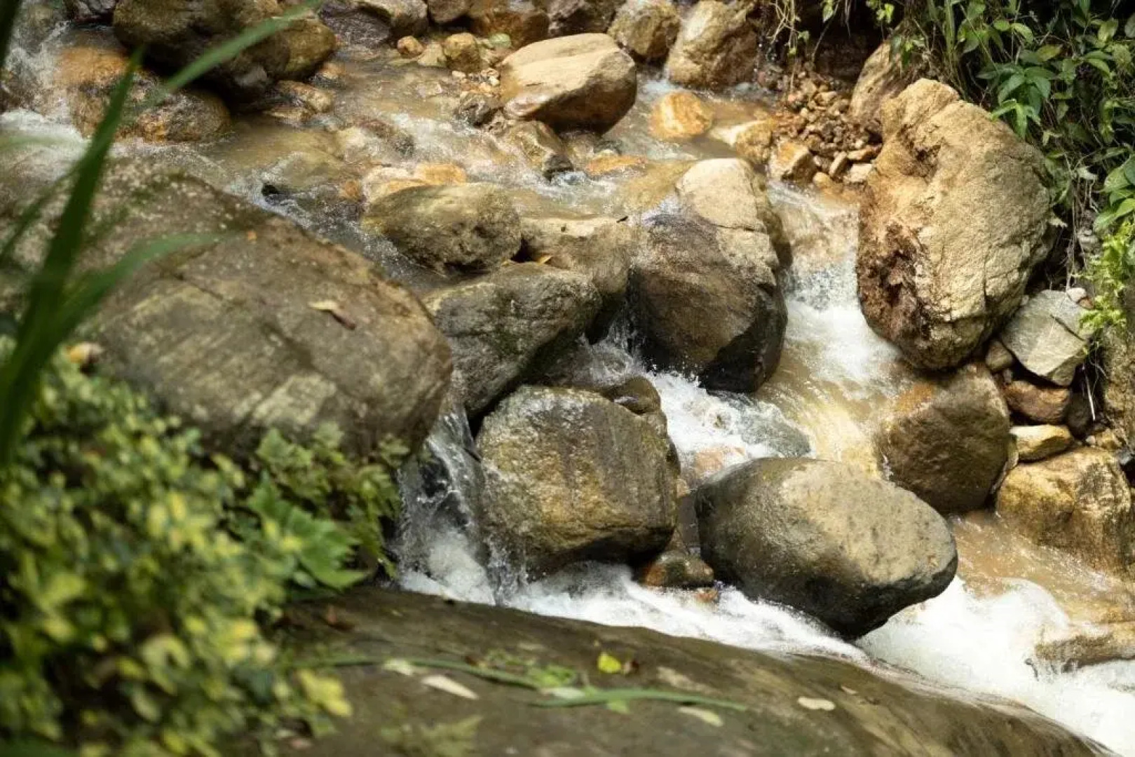 Курортный отель Arsulana Eco Lodge & Ayurveda Spa