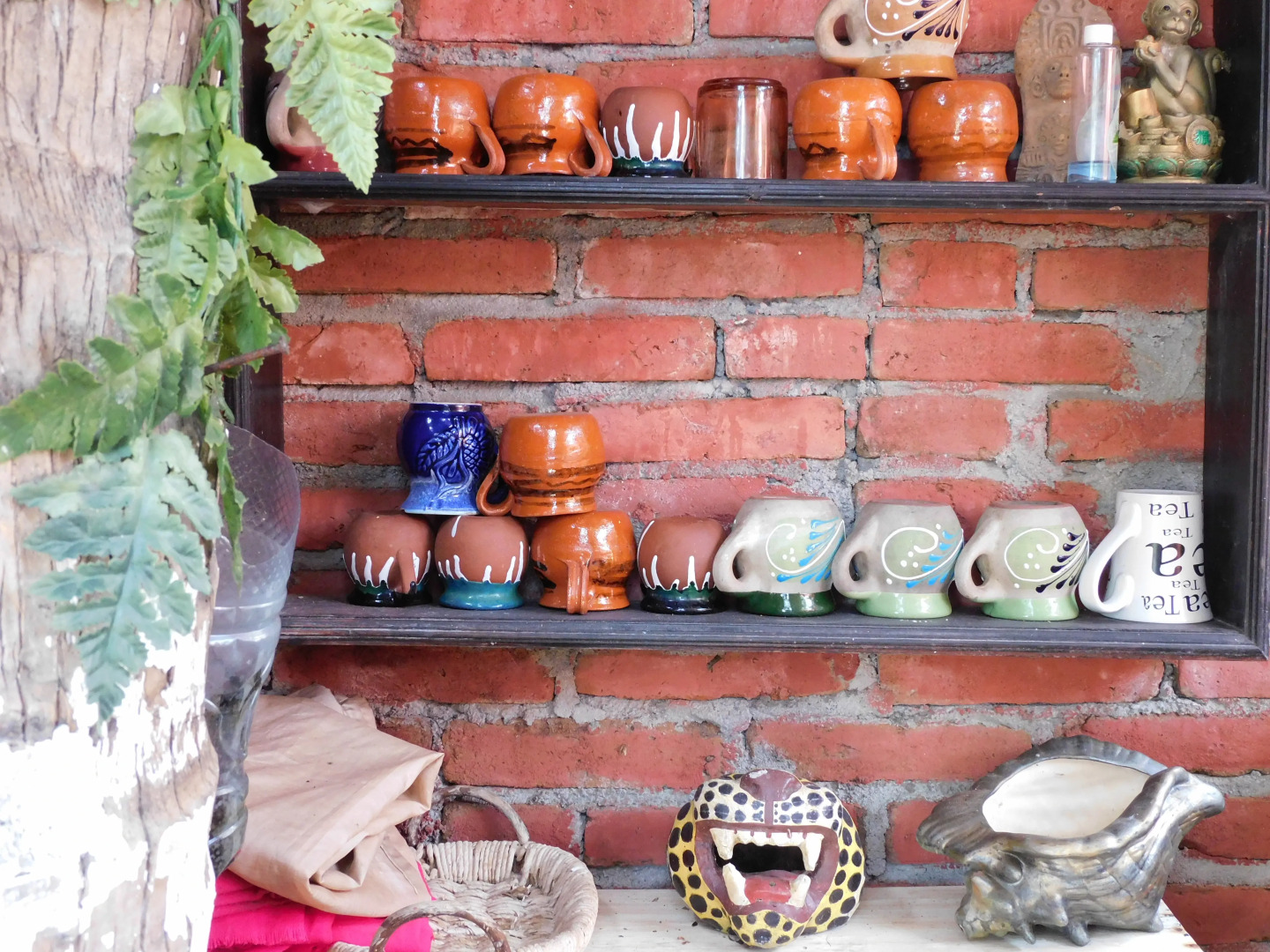 Отель Temazcal y Spa Coquis By Rotamundos