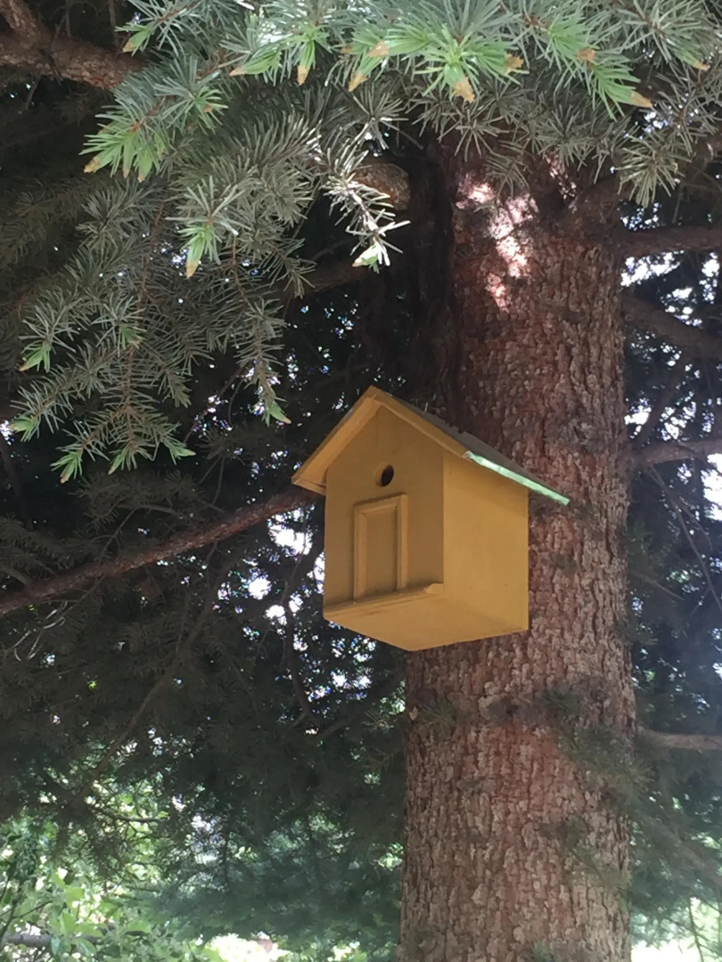 Гостевой Дом Apple Tree