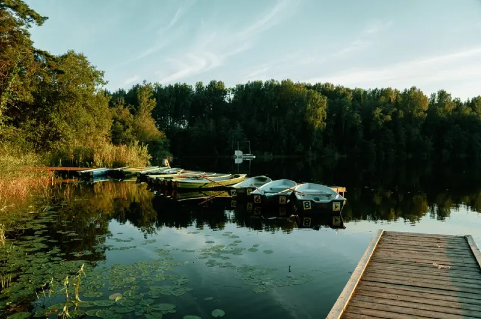 Шале Валдайская Робинзонада