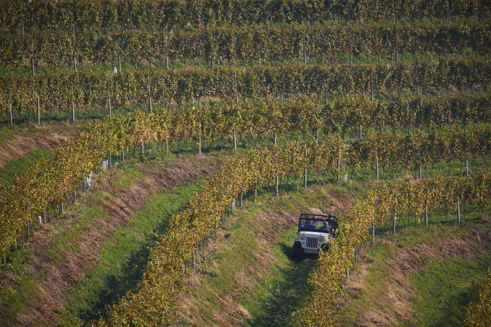 Вилла Holiday House Podhamer Marijan