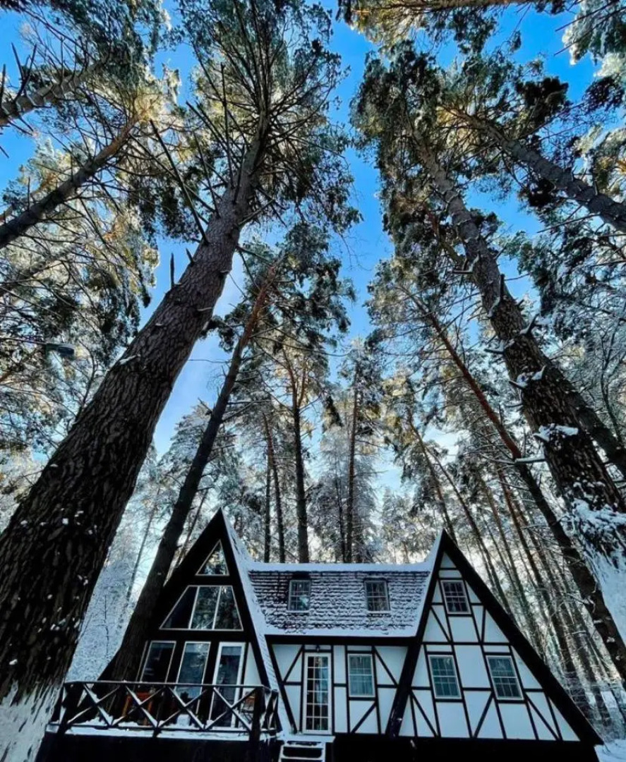 Шале Буныревский Треугольник