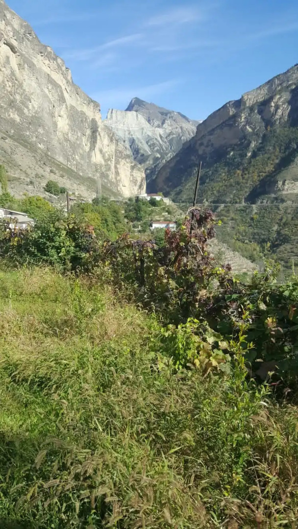 Гостевой Дом Аракани