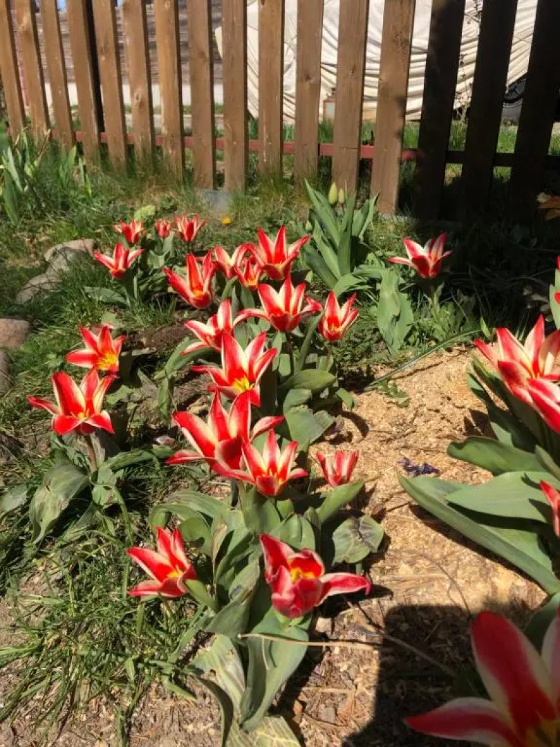 Гостевой дом Homey Home