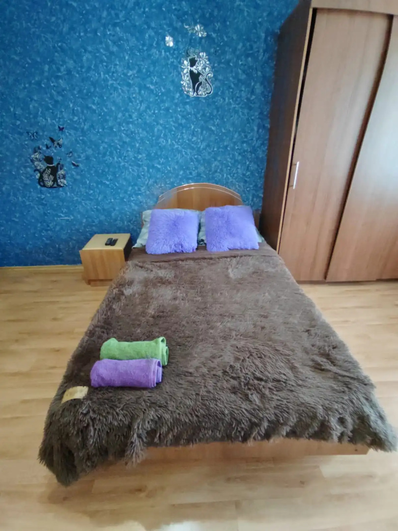 Однокомнатная  квартира на проспекте Победы