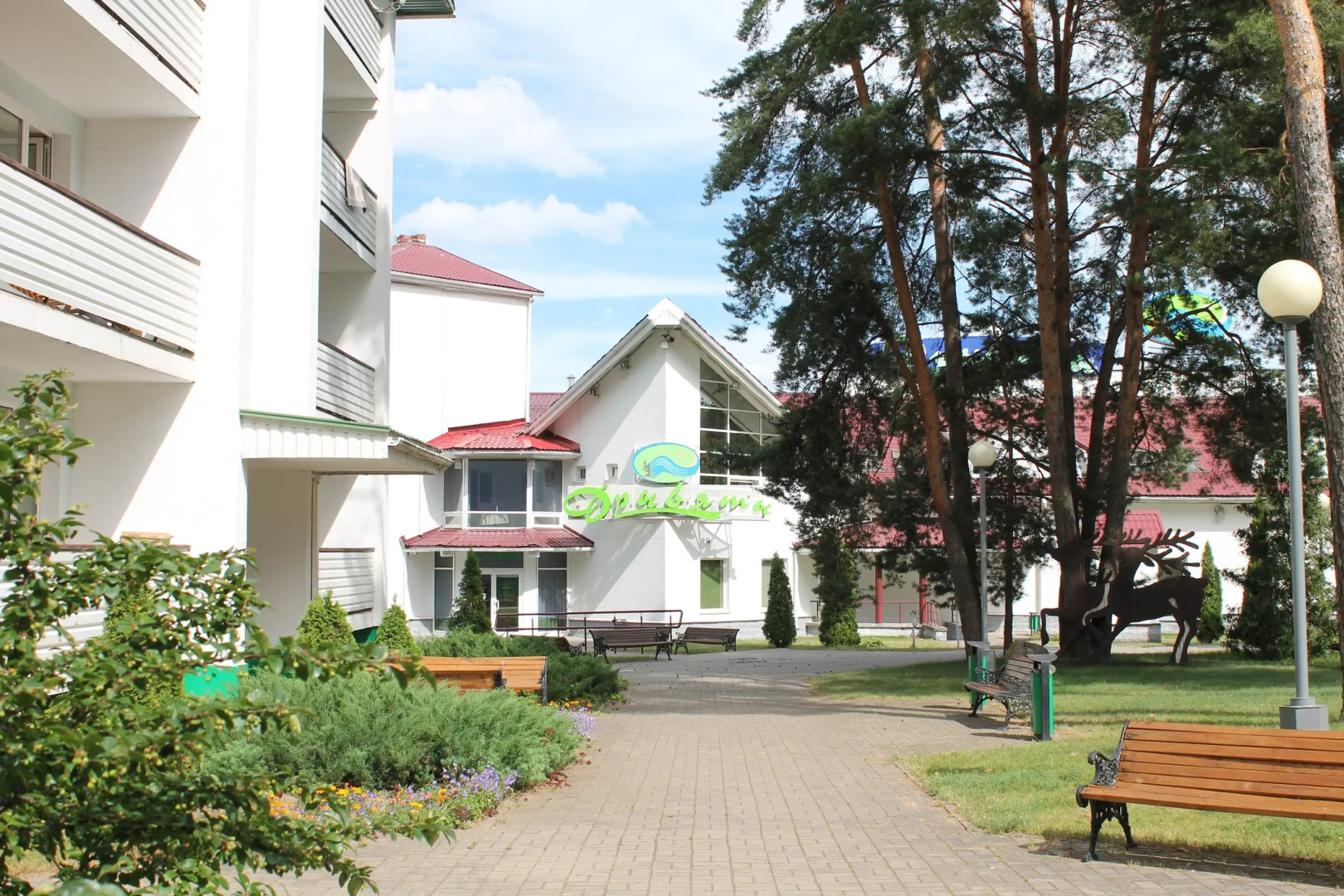 Отель Дривяты