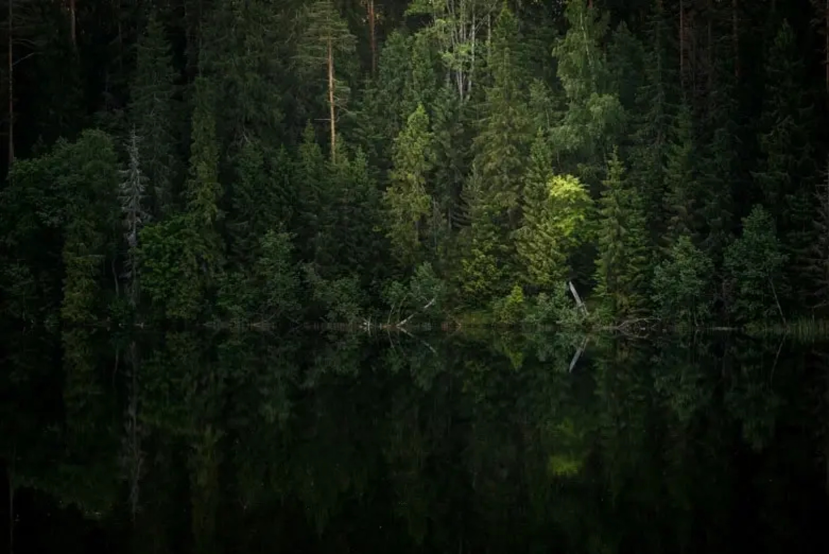 Кемпинг International Camp club Bereg Best Beach Stylish Coastline Ukleyno Lake National Park Valdai