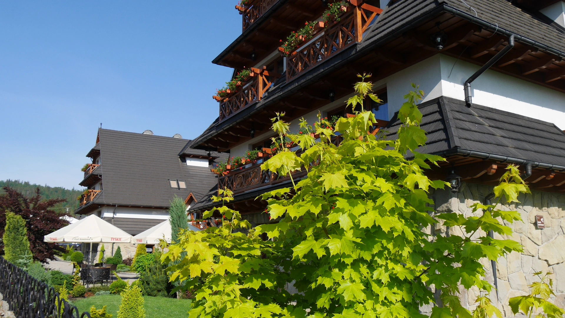 Отель Pensjonat pod Kotelnica