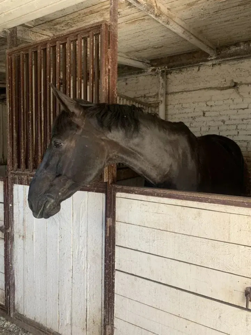 Частный дом Весна парк 30