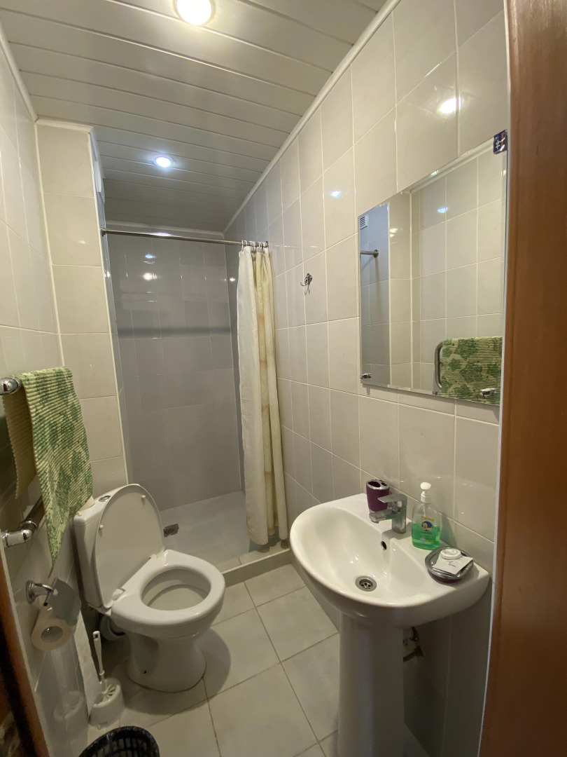 Меблированные комнаты Мещерино