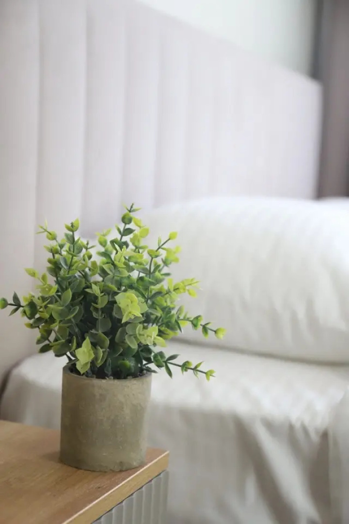 Квартира Angara ЖК Фрукты