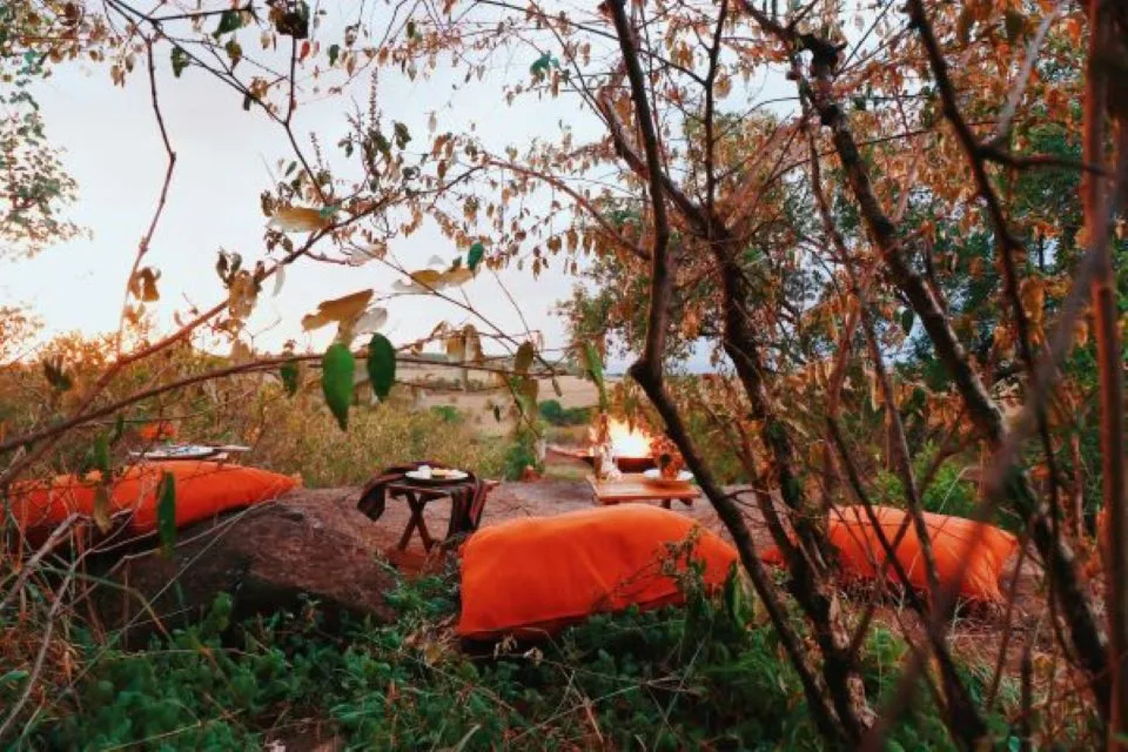 Кемпинг Mara Eden Safari