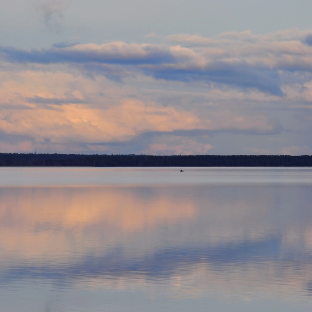 Частный дом BlackFox