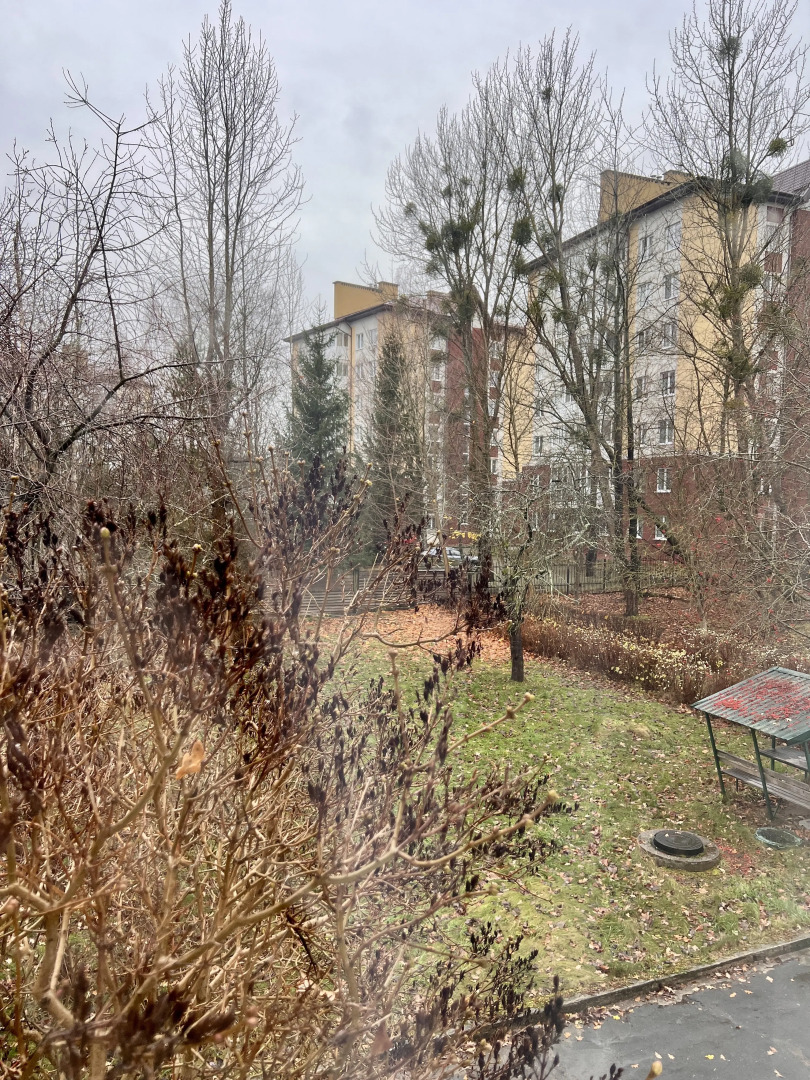 Гостиница Чайка