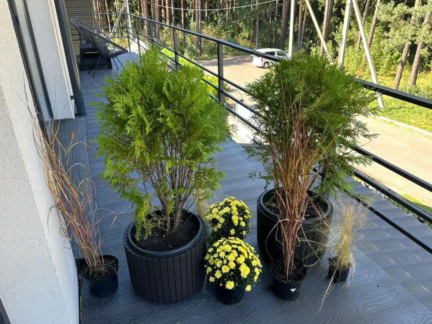 Апартаменты ForRest 7