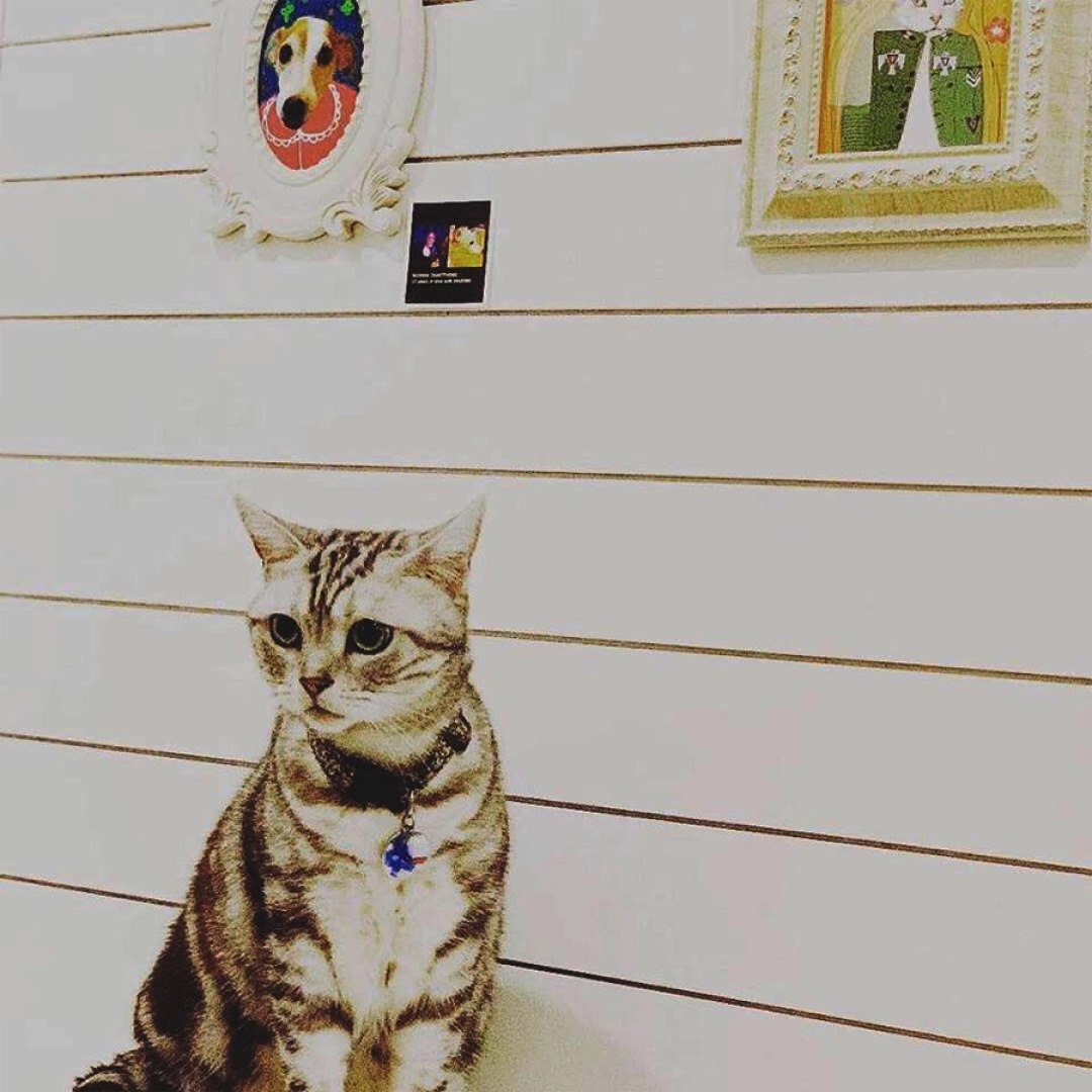 Хостел PA PRANK Design