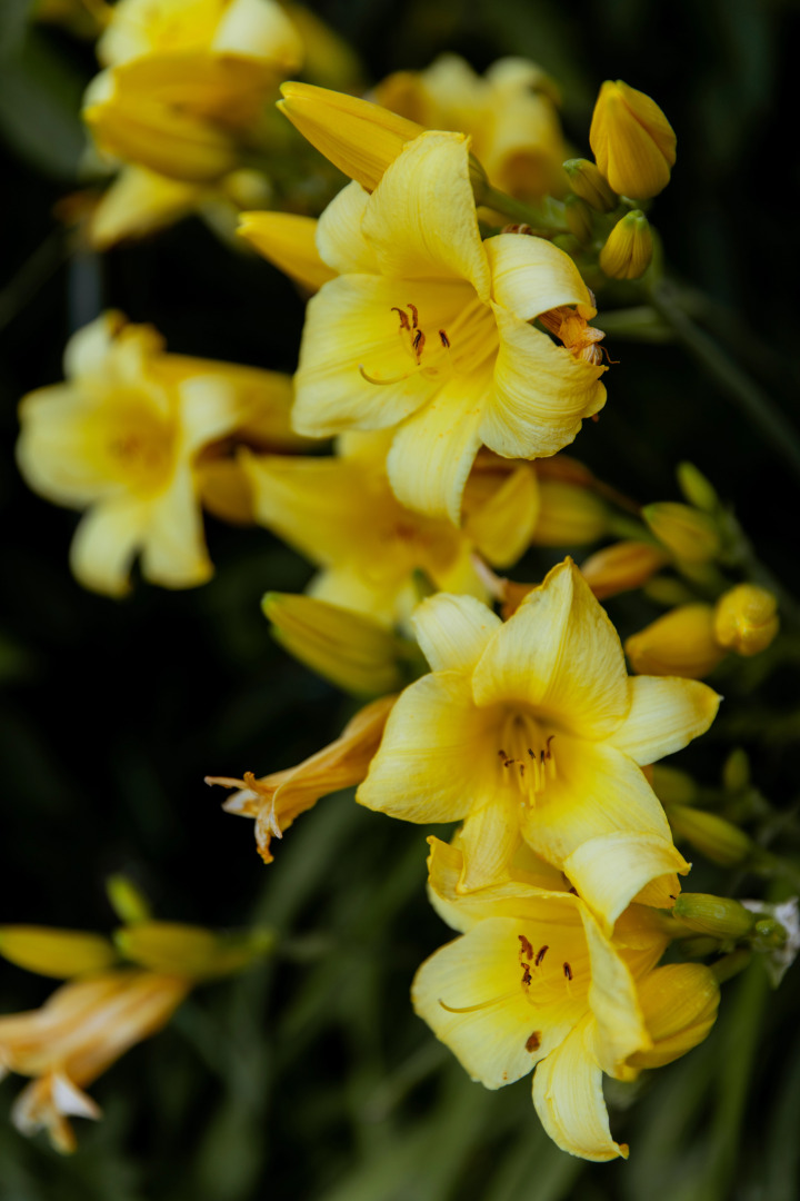 Мини-отель Uzumfermer