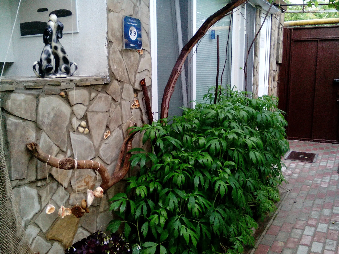 Меблированные комнаты Ясень