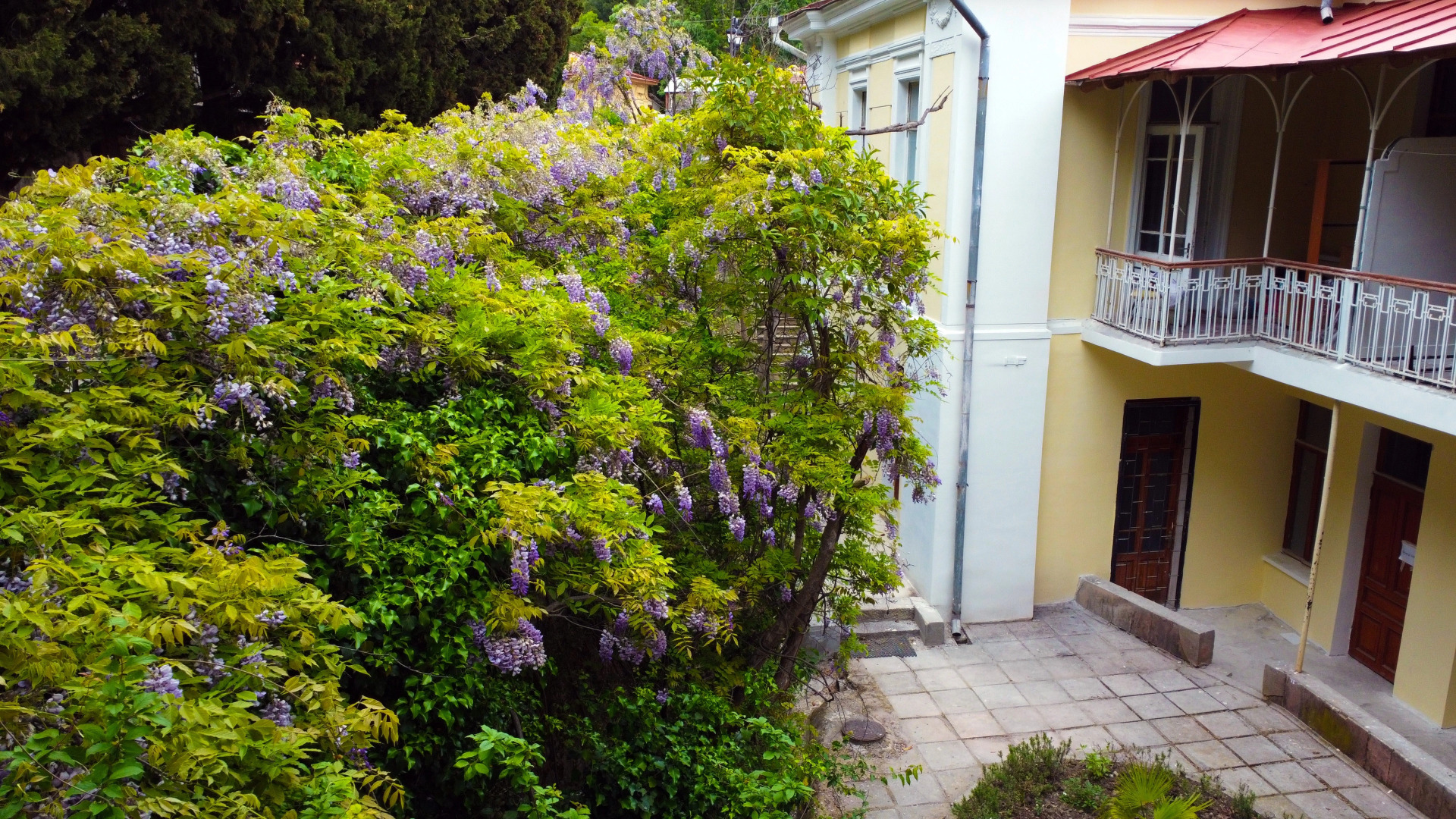 Отель Лиго Морская