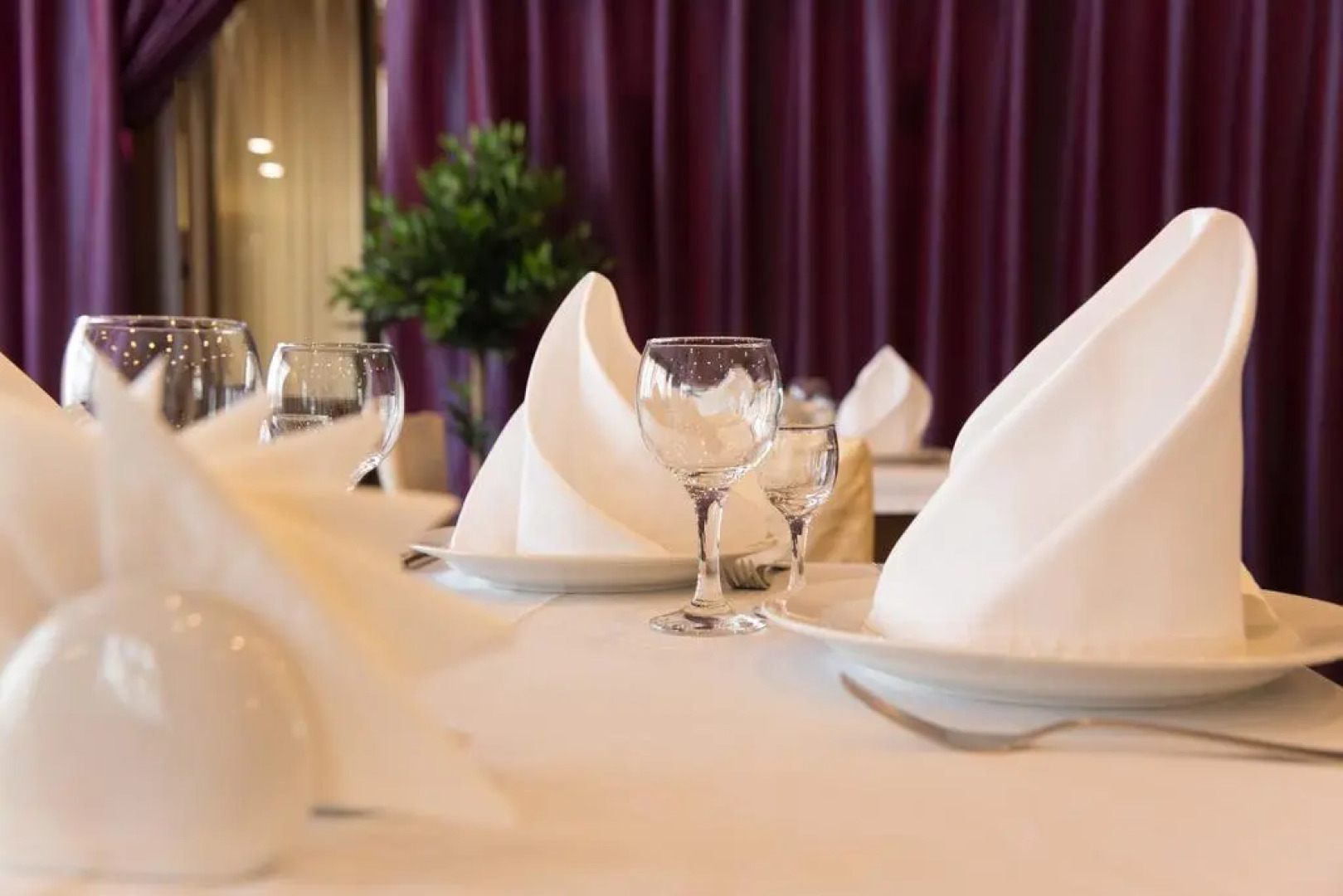 Отель Стойлянка