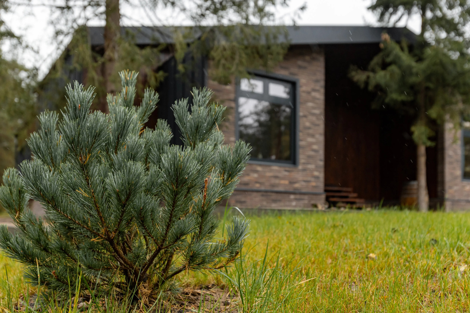 Отель Вино и Сосны