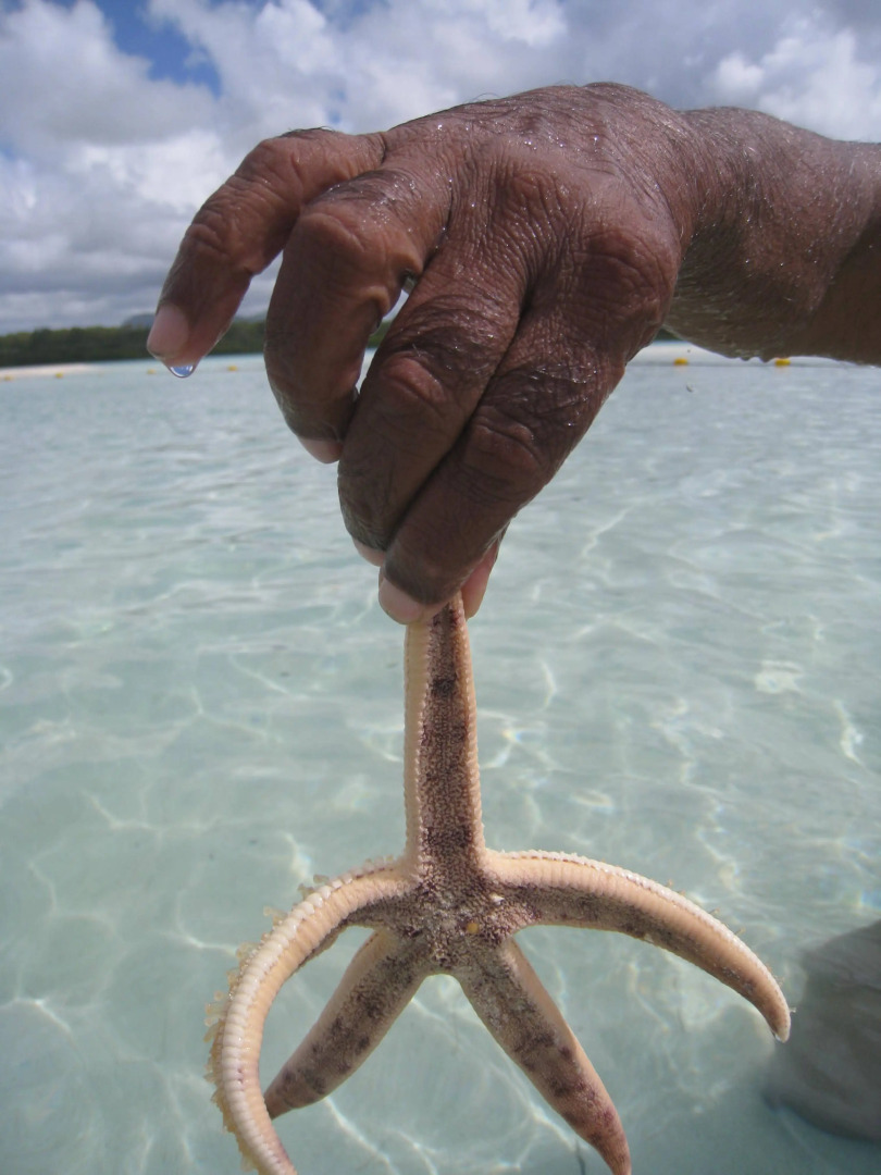 Гостевой Дом Pallagino Villa