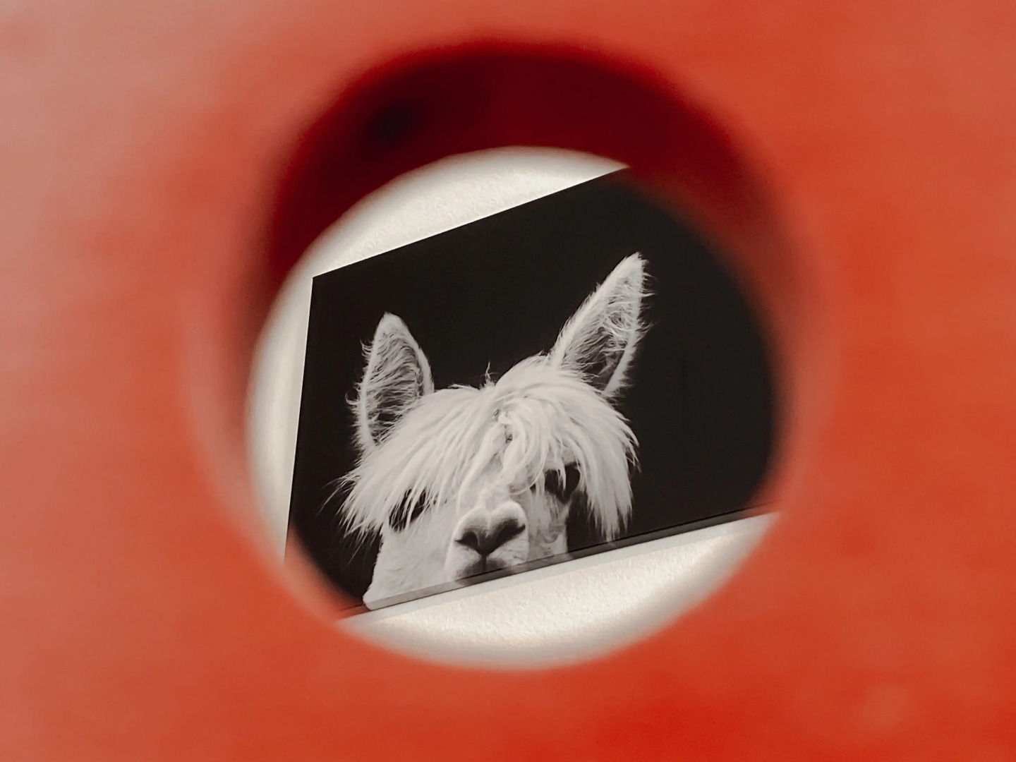 Квартира 1-комн на берегу Невы