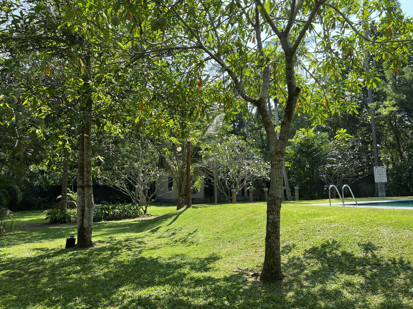 Вилла Ayurveda 386