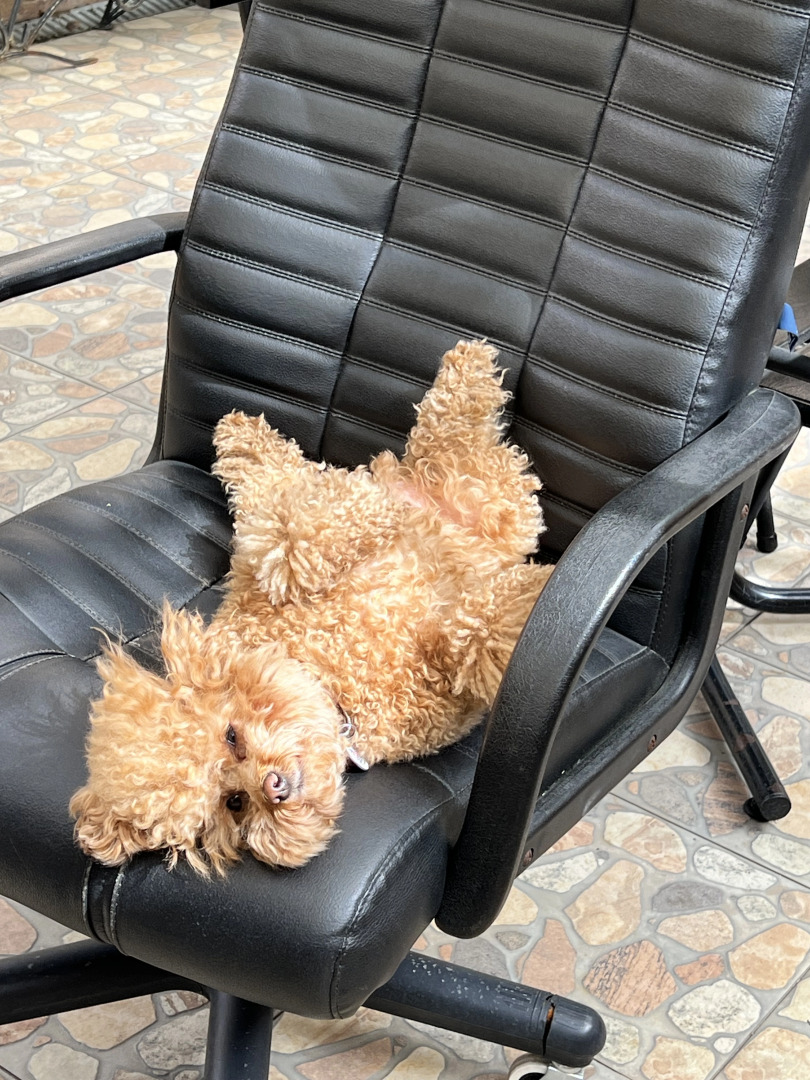 Гостевой дом Сюзи