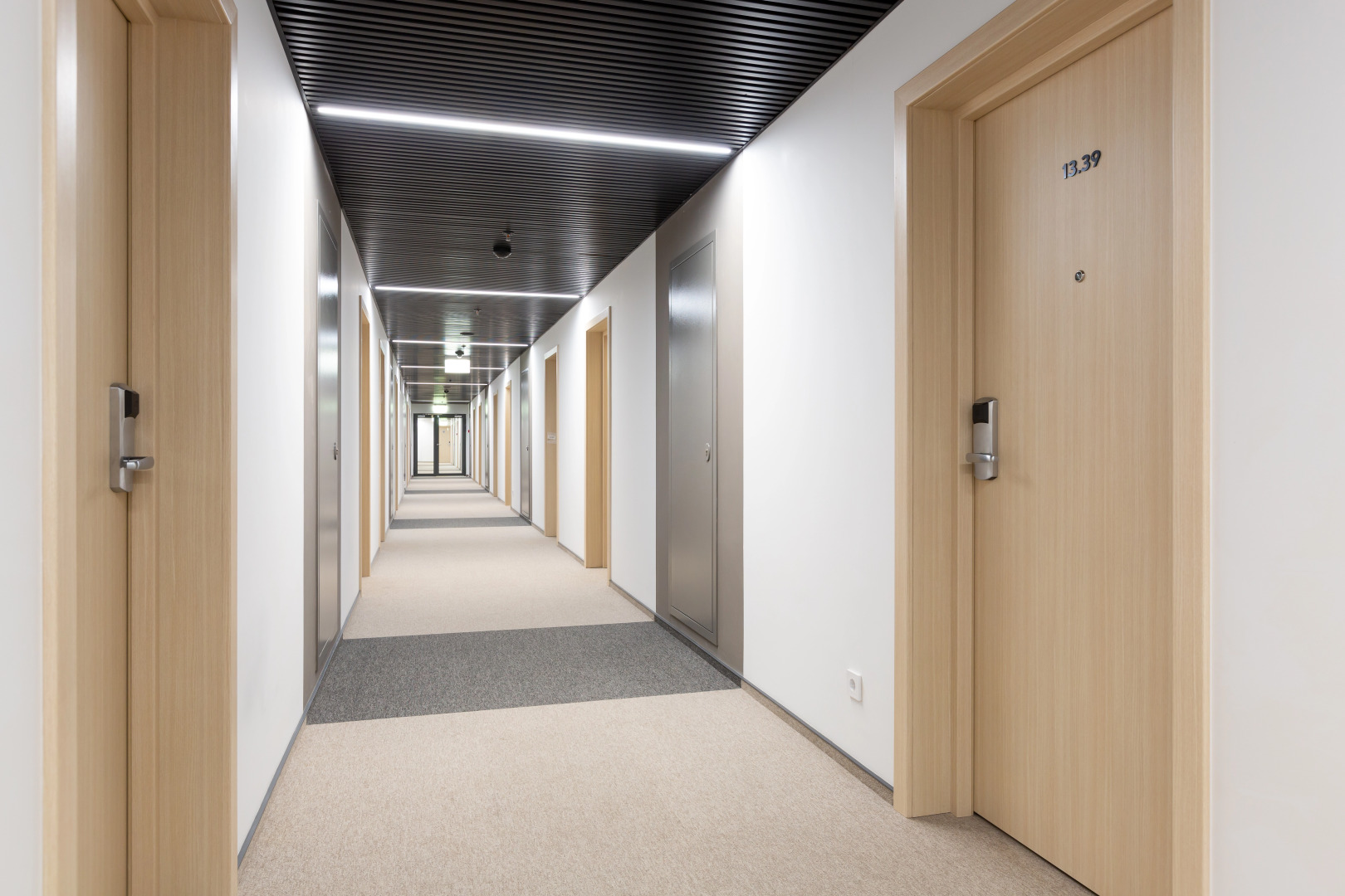 Апартаменты Студия возле Ботанического сада