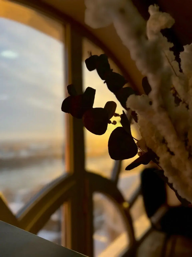 Отель Дон Кихот