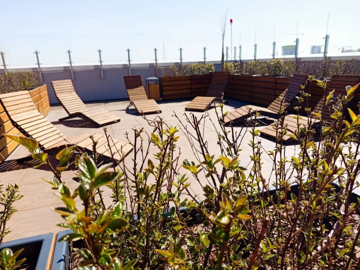 Квартира Ant Apart Панова парк