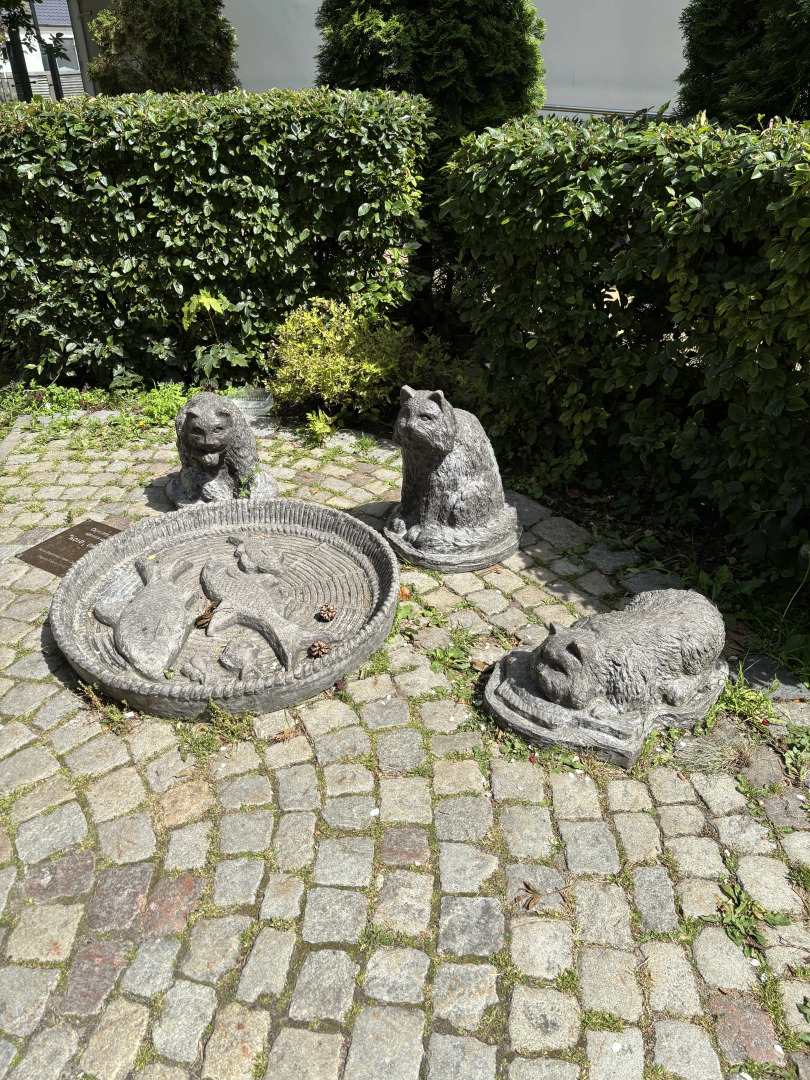 Квартира с видом на лес и пением птиц