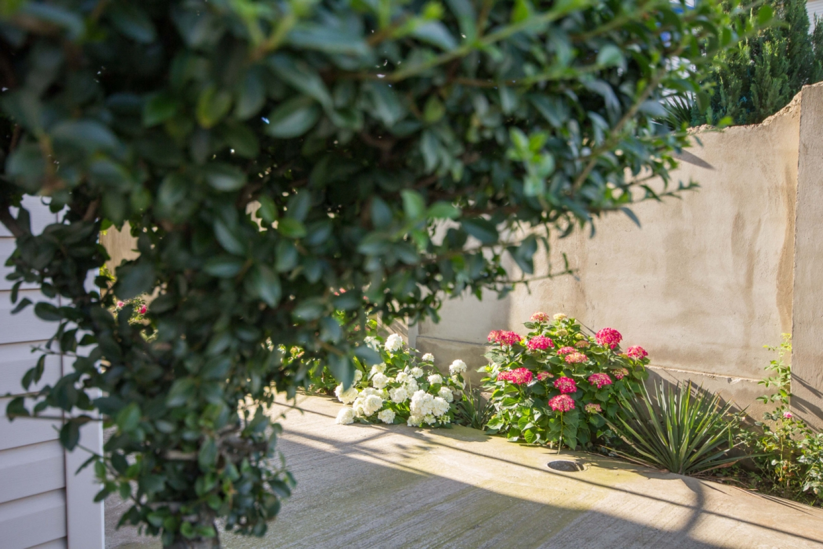 Меблированные комнаты Домик у моря