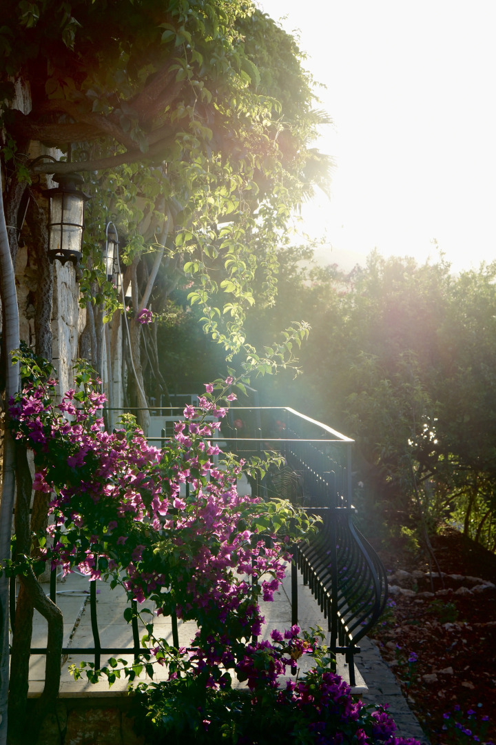 Отель Villa Tamara