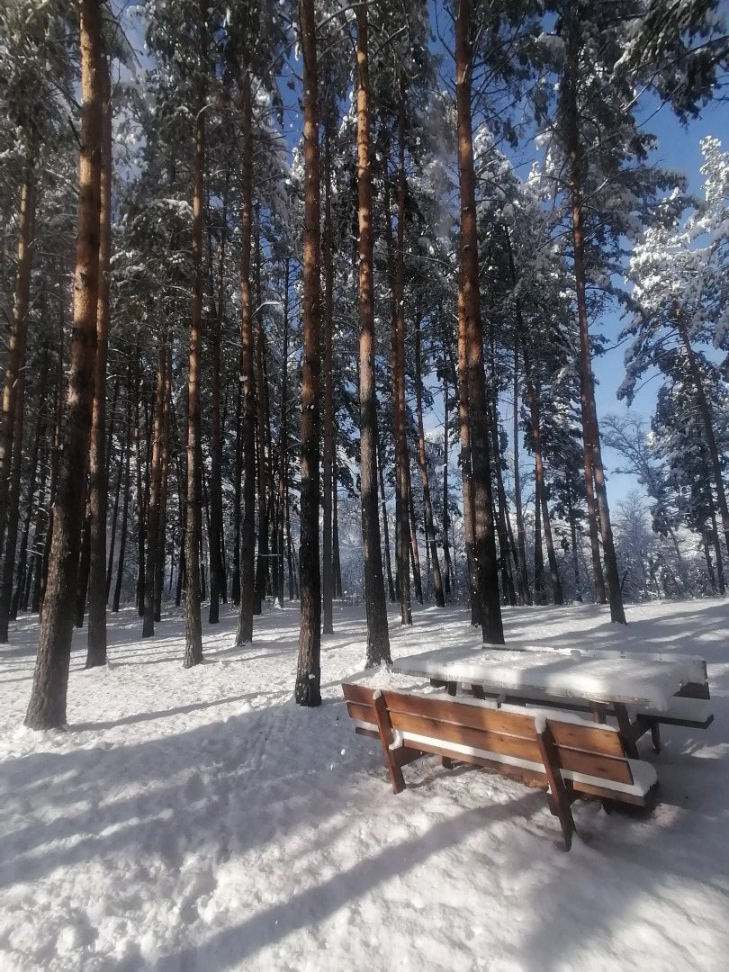 Гостевой дом Усадьба Чикмарёвых
