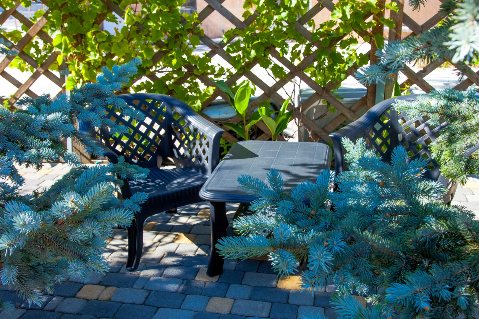 Гостевой Дом Аква-Солярис