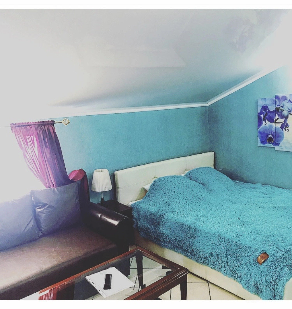 Отель Меценат