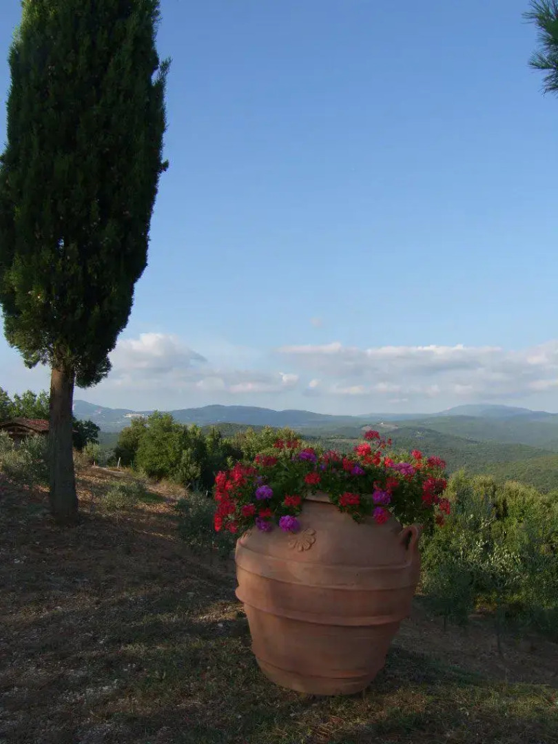 Agriturismo Podere San Lorenzo 1866