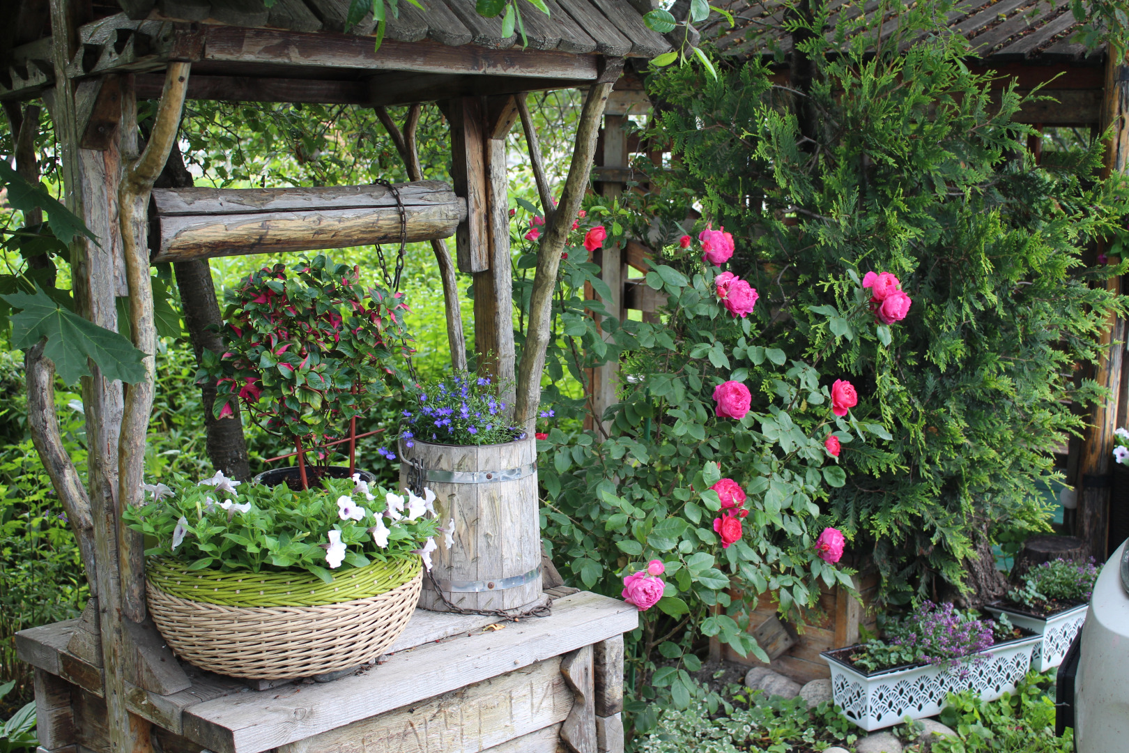 Меблированные комнаты У Друзей