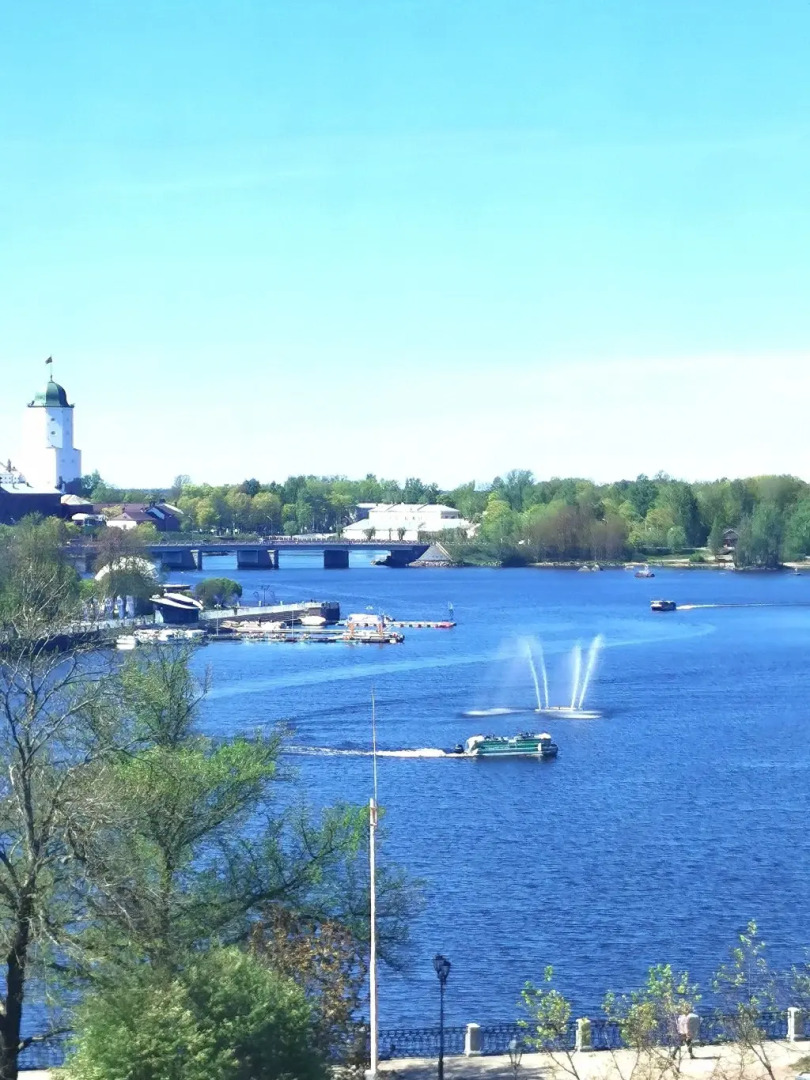 Апартаменты Vyborg Station