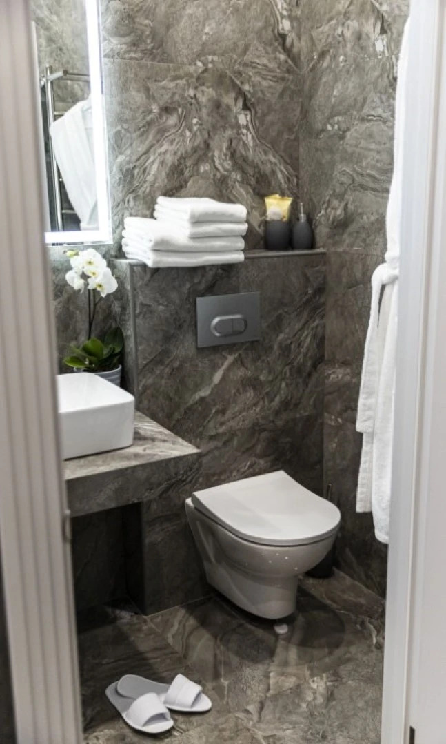 Апартаменты Пушкин г.Краснодар 3