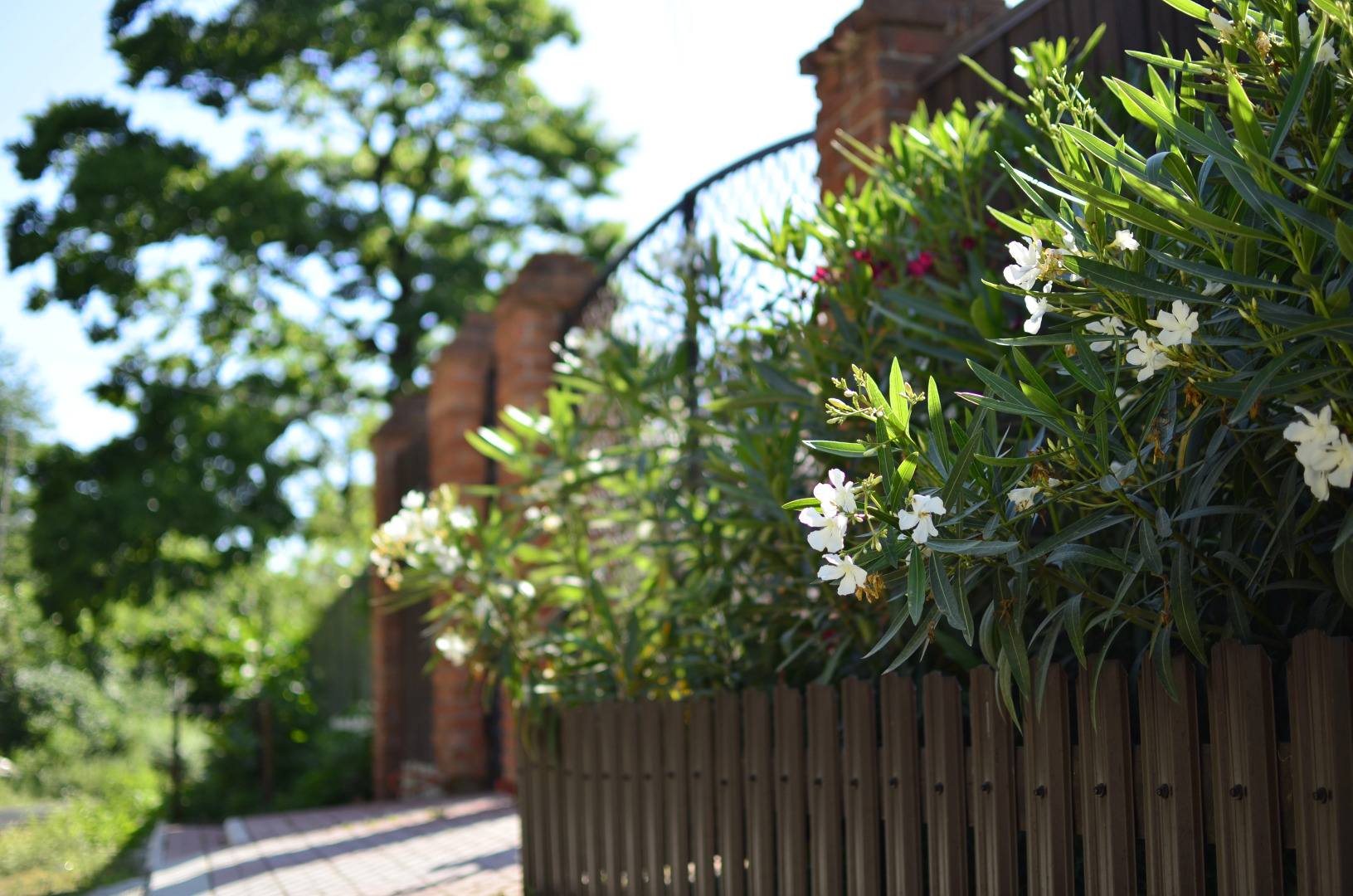 Отель ДжаНат