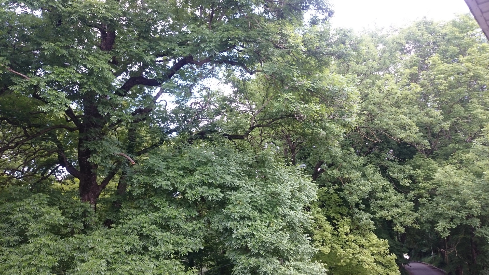 Отель Динамо