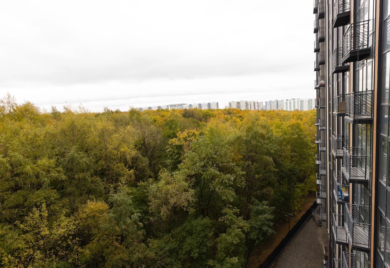 Апартаменты Лес 514/2